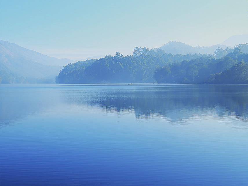 Den korrekte pH-værdi