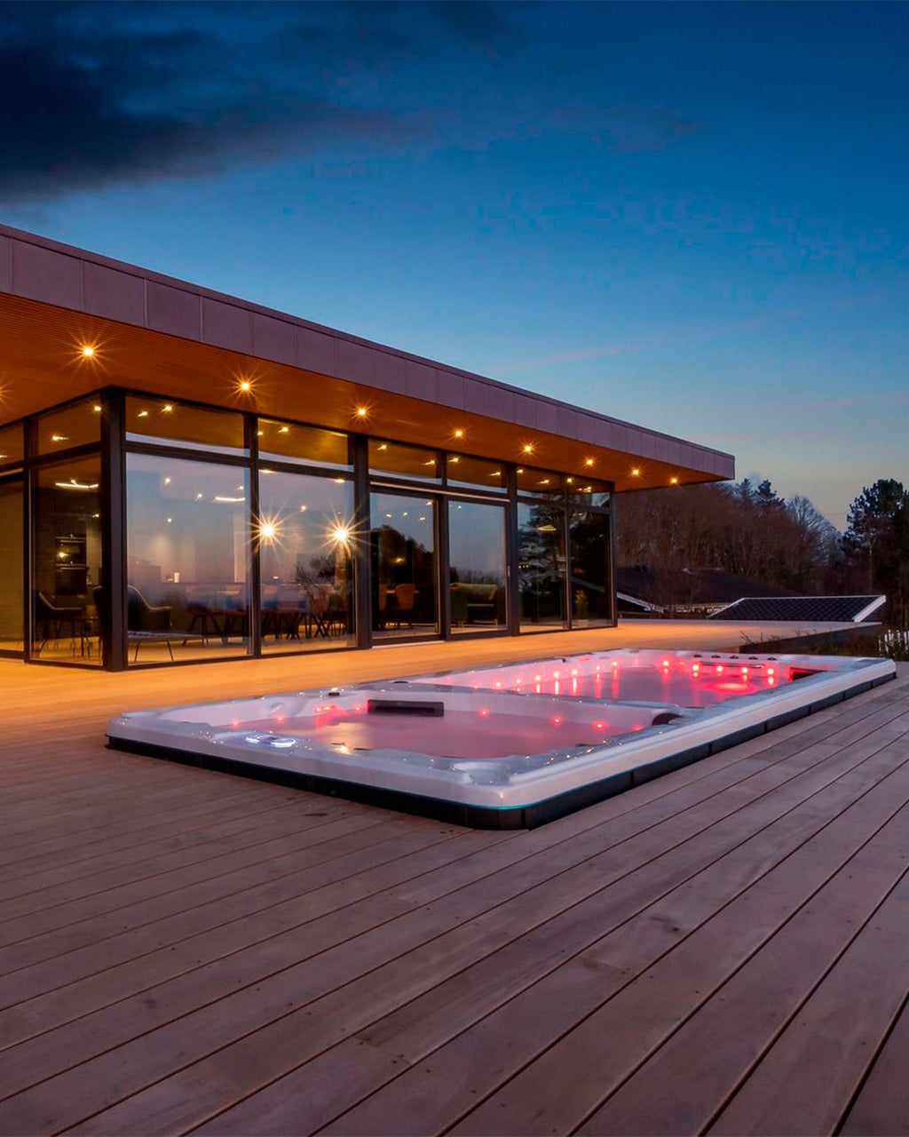 Wellness King Swimspa 6m